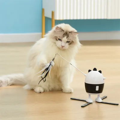 Pet Planet Jouet laser et plume pour chats