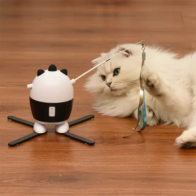 Pet Planet Jouet laser et plume pour chats