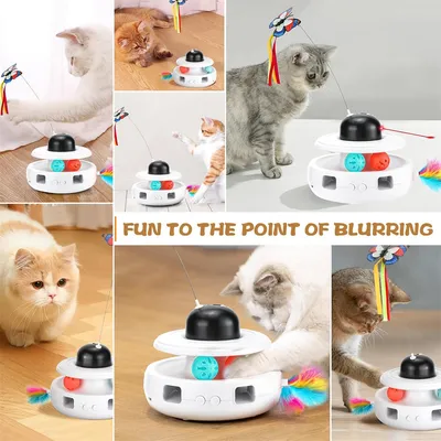 IntiMeg Circuit de jeu pour chat 5 en 1 Pour Chat