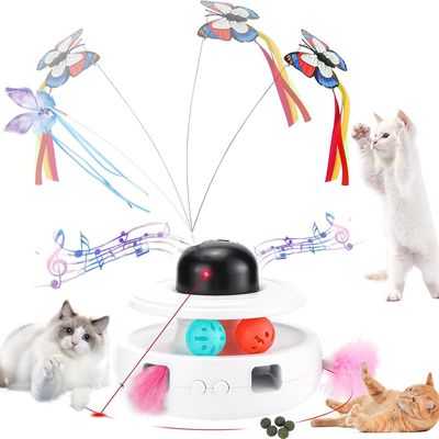 IntiMeg Circuit de jeu pour chat 5 en 1 Pour Chat