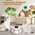 IntiMeg Circuit de jeu pour chat 5 en 1 Pour Chat