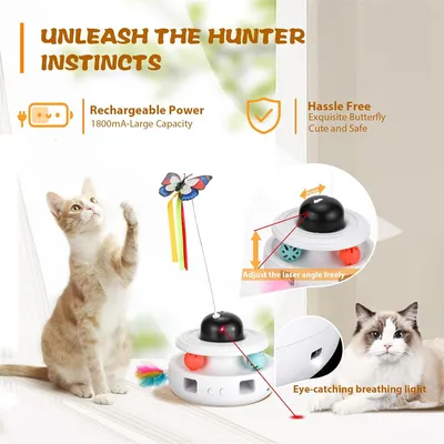 IntiMeg Circuit de jeu 5 en 1 pour chat