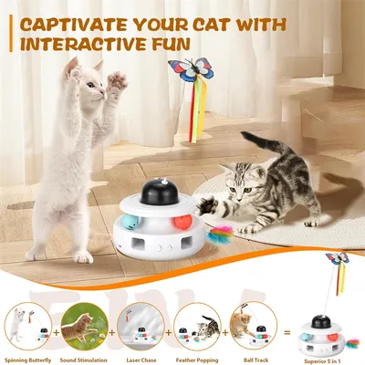 IntiMeg Circuit de jeu pour chat 5 en 1 Pour Chat