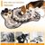 Pet Planet Tapis de reniflement en forme d'os pour chien