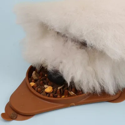 Petopia Tapis de léchage pour chien