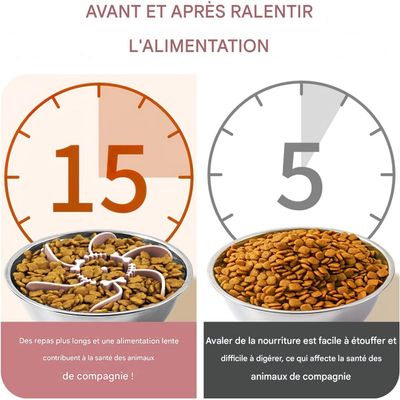 Pet Planet Gamelle Alimentation Lente Insert Spirale Silicone Ventouses
