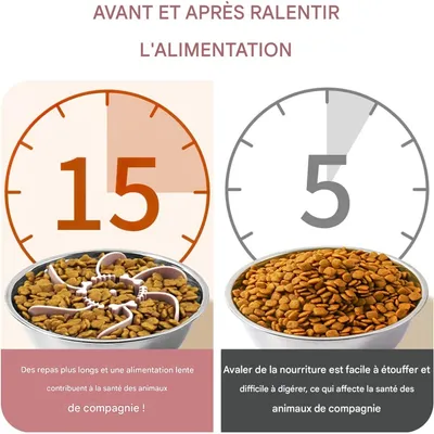 Pet Planet Gamelle Alimentation Lente Insert Spirale Silicone Ventouses