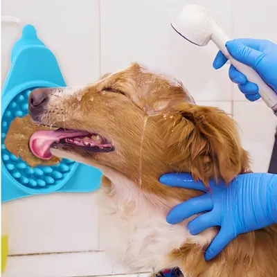 Petopia Tapis de léchage pour chien