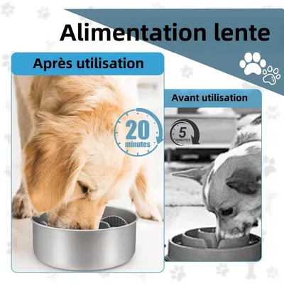 Pet Planet Gamelle Alimentation Lente Insert Spirale Silicone Ventouses