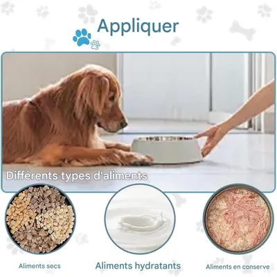 Pet Planet Gamelle Alimentation Lente Insert Spirale Silicone Ventouses