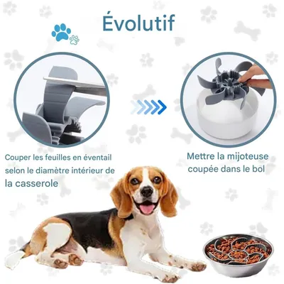 Pet Planet Gamelle Alimentation Lente Insert Spirale Silicone Ventouses