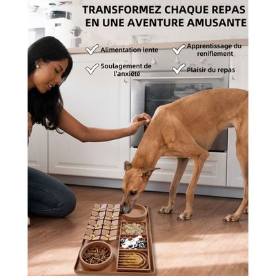 Pet Planet Gamelle Alimentation Lente Tapis Lécher Pour Chien Et Chat