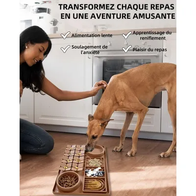Pet Planet Comedero de alimentación lenta y alfombrilla lamer perros gatos