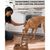 Pet Planet Gamelle Alimentation Lente Tapis Lécher Pour Chien Et Chat