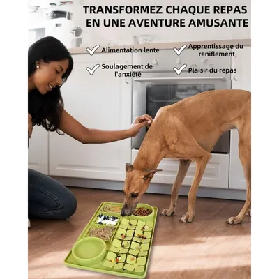 Pet Planet Comedero de alimentación lenta y alfombrilla lamer perros gatos