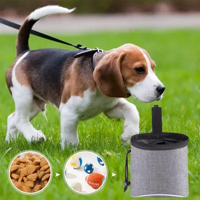 IntiMeg Pochette à friandises pour chien