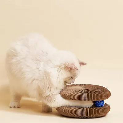 Petopia Griffeuse pour chats en forme d'orgue à tête de chat