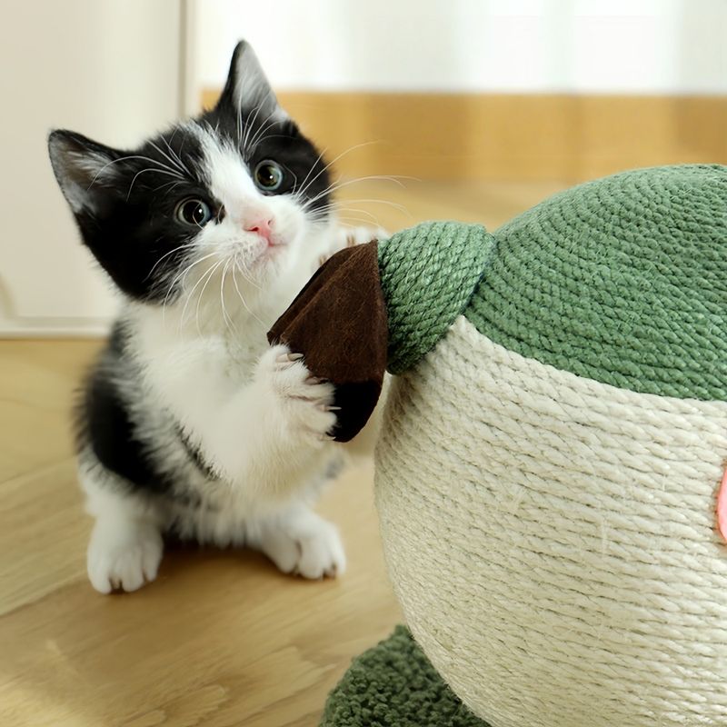 FurryFusion Balle à gratter en sisal en forme de poisson-globe pour chat
