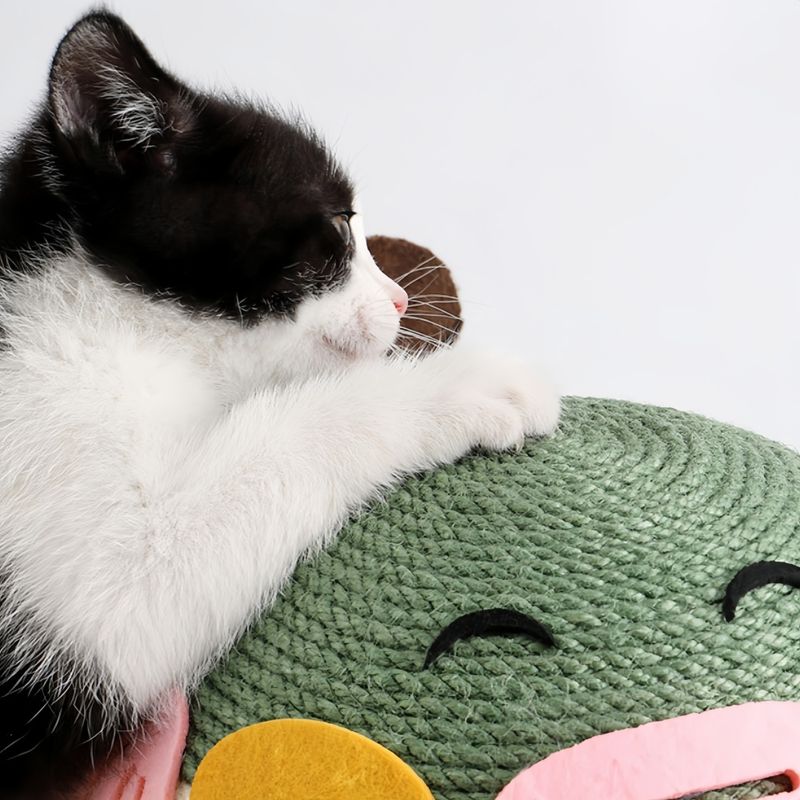 FurryFusion Balle à gratter en sisal en forme de poisson-globe pour chat