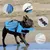 Pet Planet Gilet de sauvetage pour chien avec ailes angeliques Pet Planet Gilet de sauvetage pour chien avec ailes angeliques