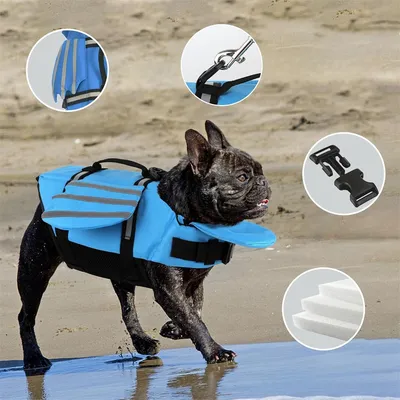 Pet Planet Gilet de sauvetage pour chien avec ailes angeliques Pet Planet Gilet de sauvetage pour chien avec ailes angeliques