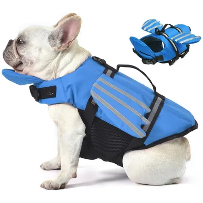 Pet Planet Gilet de sauvetage pour chien avec ailes angeliques