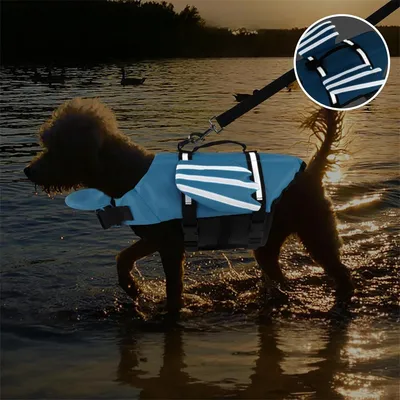 Pet Planet Gilet de sauvetage pour chien avec ailes angeliques Pet Planet Gilet de sauvetage pour chien avec ailes angeliques