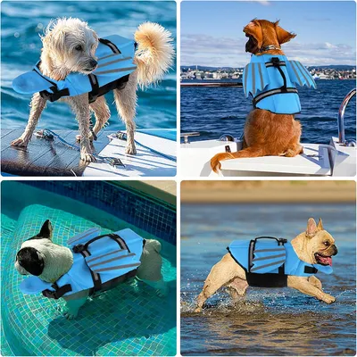 Pet Planet Gilet de sauvetage pour chien avec ailes angeliques