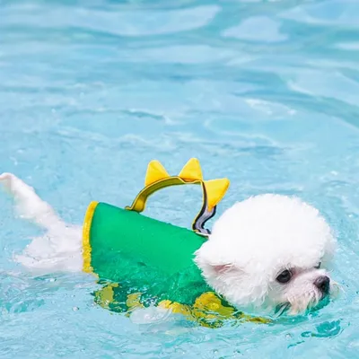 Petopia Gilet de sauvetage pour chien