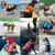 Pet Planet Gilet de Sauvetage Réglable avec Poignée Pour Chien