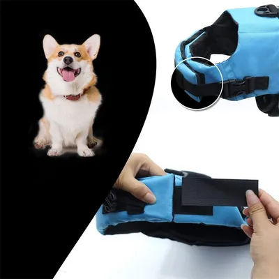 Pet Planet Gilet de sauvetage pour chien
