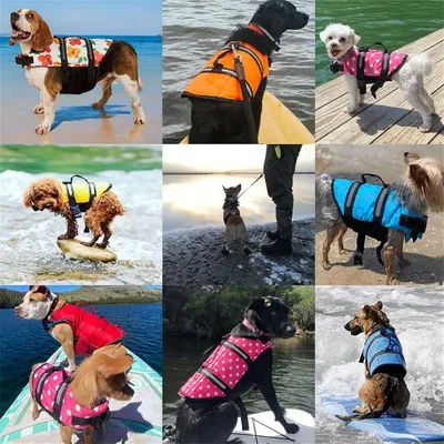 Pet Planet Gilet de Sauvetage Réglable avec Poignée Pour Chien