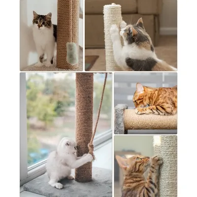 IntiMeg Corde à griffer pour Chat 50m*6mm