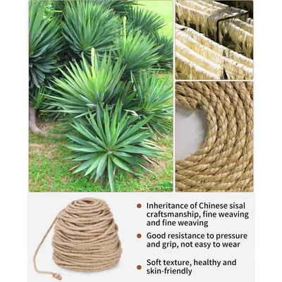 IntiMeg Corde à griffer pour Chat 50m*6mm