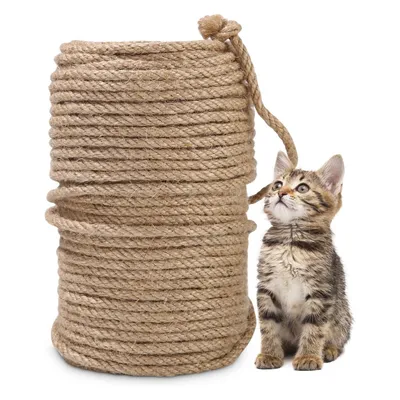 IntiMeg Corde à griffer pour Chat 50 m x 6 mm