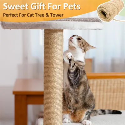 IntiMeg Corde en sisal pour Arbre à Chat 4MM X 50M