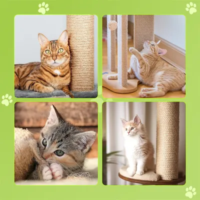 IntiMeg Corde Sisal 10M X 10MM