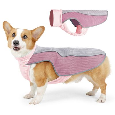 Pet Planet Gilet de fraîcheur d'été pour chien