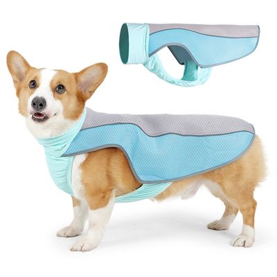 Pet Planet Gilet de fraîcheur d'été pour chien