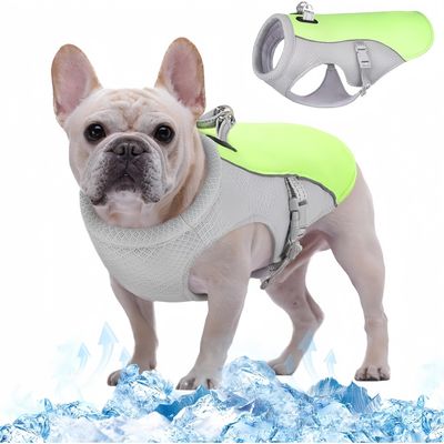 Pet Planet Gilet Rafraîchissant Pour Chien Pour Activités En Extérieur