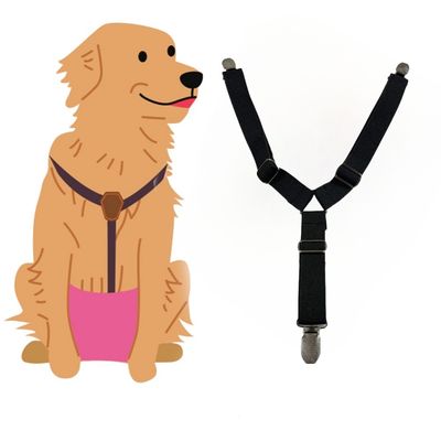 IntiMeg Sangles anti - chute pour couches de chien