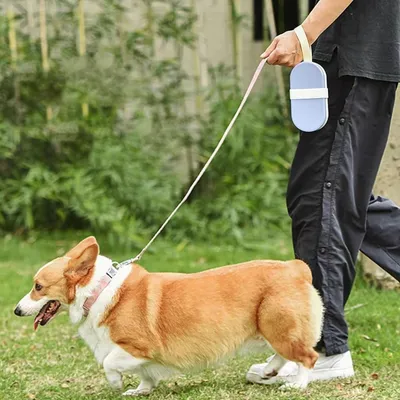 Pet Planet Botella de agua portátil 2 en 1 para perros y gatos