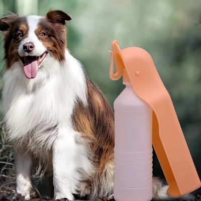 FurryFusion Gourde de voyage pour chien