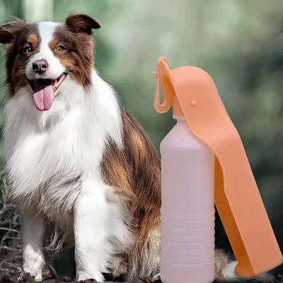 FurryFusion Botella de agua de viaje para perros
