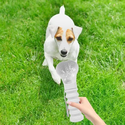 Petopia Bouteille d'eau pour chien