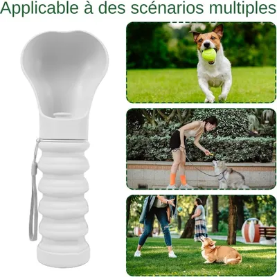 Petopia Bouteille d'eau pour chien