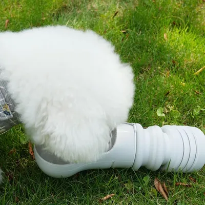 Petopia Botella de agua para perros