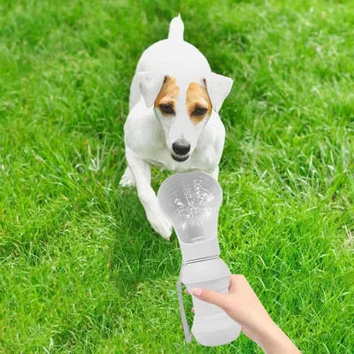 Petopia Botella de agua para perros