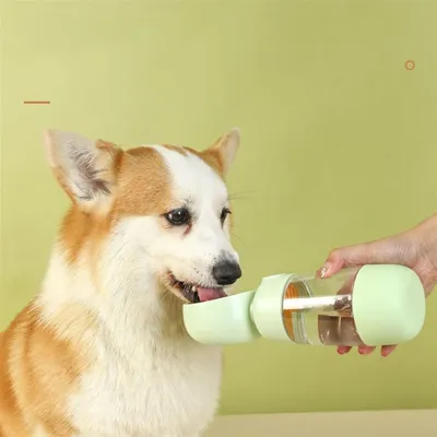 Petopia Botella de agua para perros 2 en 1