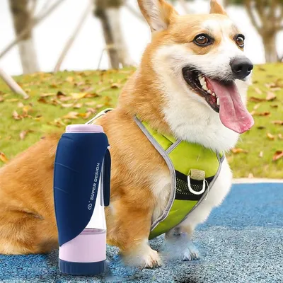Pet Planet Dispensador de agua portátil para perros al aire libre